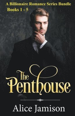 A Billionaire Romance Series Bundle Books 1 - 5 The Penthouse 1