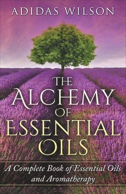 bokomslag The Alchemy of Essential Oils - A Complete Book of Essential Oils and Aromatherapy