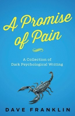 bokomslag Promise of Pain