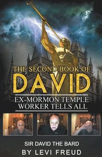 bokomslag The Second Book Of David