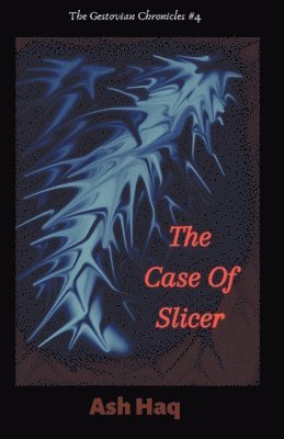 The Case of Slicer 1