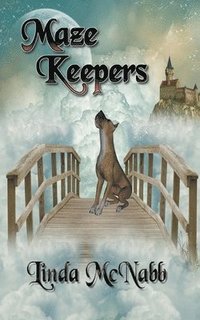 bokomslag Maze Keepers