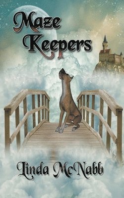 bokomslag Maze Keepers