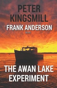 bokomslag The Awan Lake Experiment