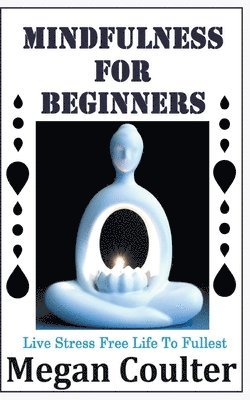 bokomslag Mindfulness For Beginners