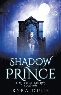 bokomslag Shadow Prince