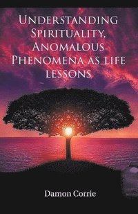 bokomslag Understanding Spirituality, Anomalous Phenomena as life lessons