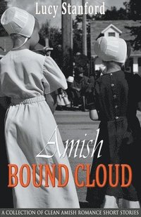 bokomslag Amish Bound Cloud