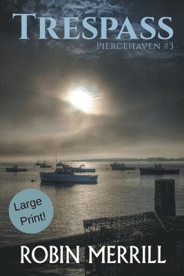 bokomslag Trespass (Large Print)