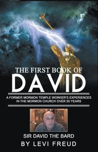 bokomslag The First Book Of David