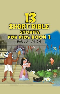 bokomslag 13 Short Bible Stories For Kids