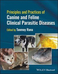 bokomslag Principles and Practices of Canine and Feline Clinical Parasitic Diseases