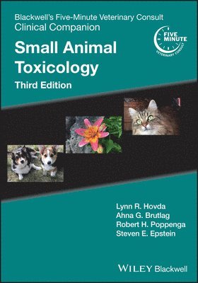 Lynn R. Hovda, Ahna G. Brutlag, Robert H. Poppenga, Steven E. Epstein - Blackwell's Five-Minute Veterinary Consult Clinical Companion, Häftad
