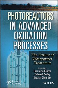 bokomslag Photoreactors in Advanced Oxidation Process