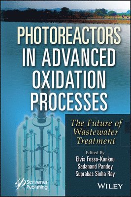 Elvis Fosso-Kankeu, Sadanand Pandey, Suprakas Sinha Ray - Photoreactors in Advanced Oxidation Process, Inbunden