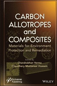 bokomslag Carbon Allotropes and Composites