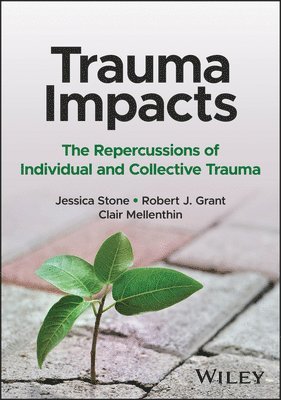 bokomslag Trauma Impacts