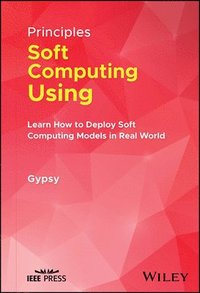 bokomslag Principles of Soft Computing Using Python Programming