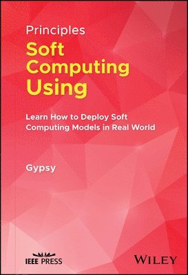 bokomslag Principles of Soft Computing Using Python Programming