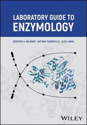Geoffrey A. Holdgate, Antonia Turberville, Alice Lanne, Geoffrey A Holdgate - Laboratory Guide to Enzymology, Häftad