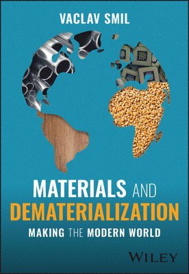 bokomslag Materials and Dematerialization