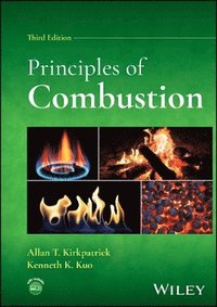 bokomslag Principles of Combustion