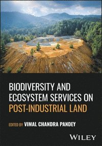 bokomslag Biodiversity and Ecosystem Services on Post-Industrial Land