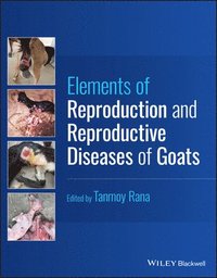 bokomslag Elements of Reproduction and Reproductive Diseases of Goats