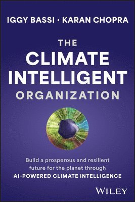 bokomslag Climate Intelligent Organization