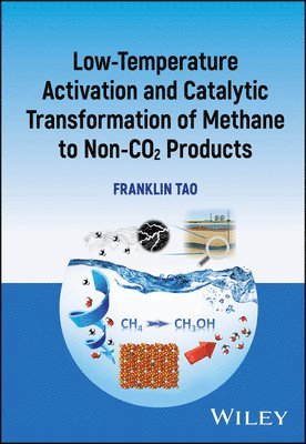Franklin Tao - Low-temperature Activation and Catalytic Transformation of Methane to Non-CO2 Products, Inbunden
