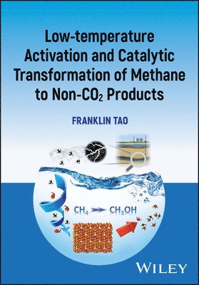 bokomslag Low-temperature Activation and Catalytic Transformation of Methane to Non-CO2 Products