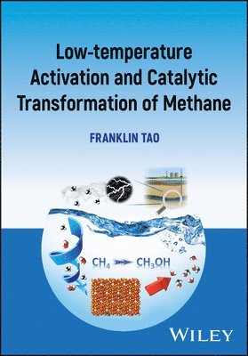 Franklin Tao, Franklin (University of Kansas) Tao - Low-temperature Activation and Catalytic Transformation of Methane to Non-CO2 Products, Inbunden