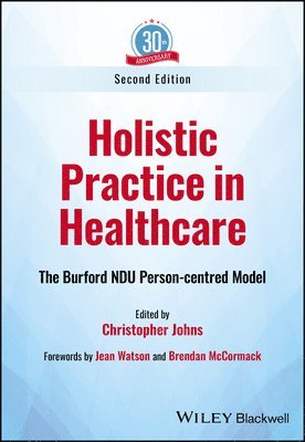 Christopher Johns, Christopher Johns - Holistic Practice in Healthcare, Häftad
