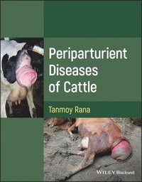 bokomslag Periparturient Diseases of Cattle