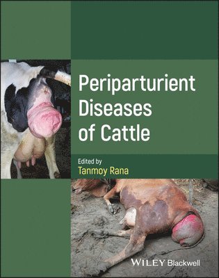 bokomslag Periparturient Diseases of Cattle