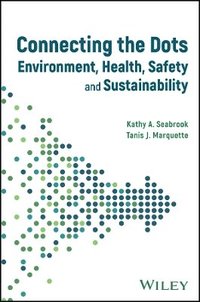 bokomslag Connecting the Dots between Environmental Health a nd Safety and Sustainability