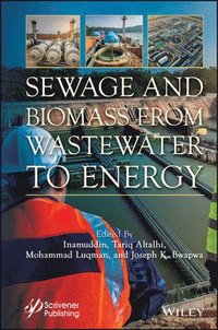 bokomslag Sewage and Biomass from Wastewater to Energy