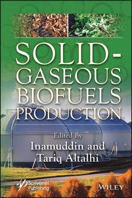 bokomslag Solid-Gaseous Biofuels Production