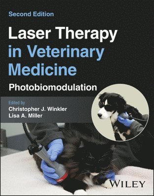 bokomslag Laser Therapy in Veterinary Medicine