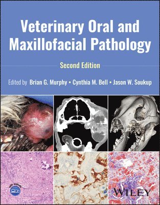 bokomslag Veterinary Oral and Maxillofacial Pathology