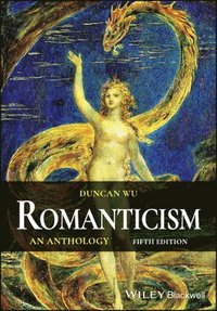 bokomslag Romanticism