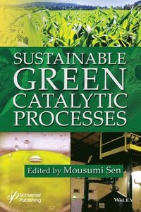 bokomslag Sustainable Green Catalytic Processes
