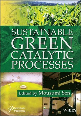 bokomslag Sustainable Green Catalytic Processes