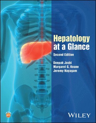 bokomslag Hepatology at a Glance