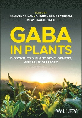 bokomslag GABA in Plants