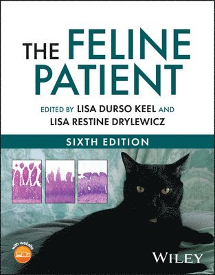 bokomslag Feline Patient