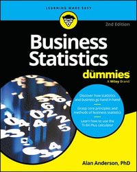 bokomslag Business Statistics For Dummies