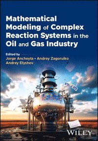 bokomslag Mathematical Modeling of Complex Reaction Systems in the Oil and Gas Industry