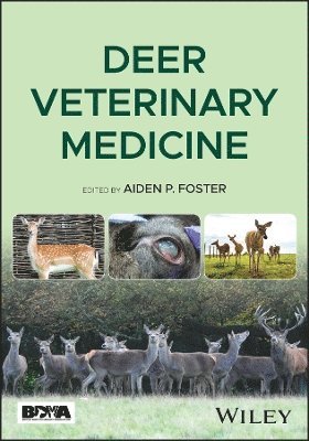 Deer Veterinary Medicine 1