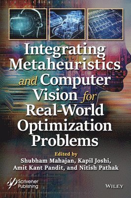 Integrating Metaheuristics in Computer Vision for Real-World Optimization Problems 1